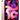 iPad Air 4 (2020) | 10.9" - Rosa